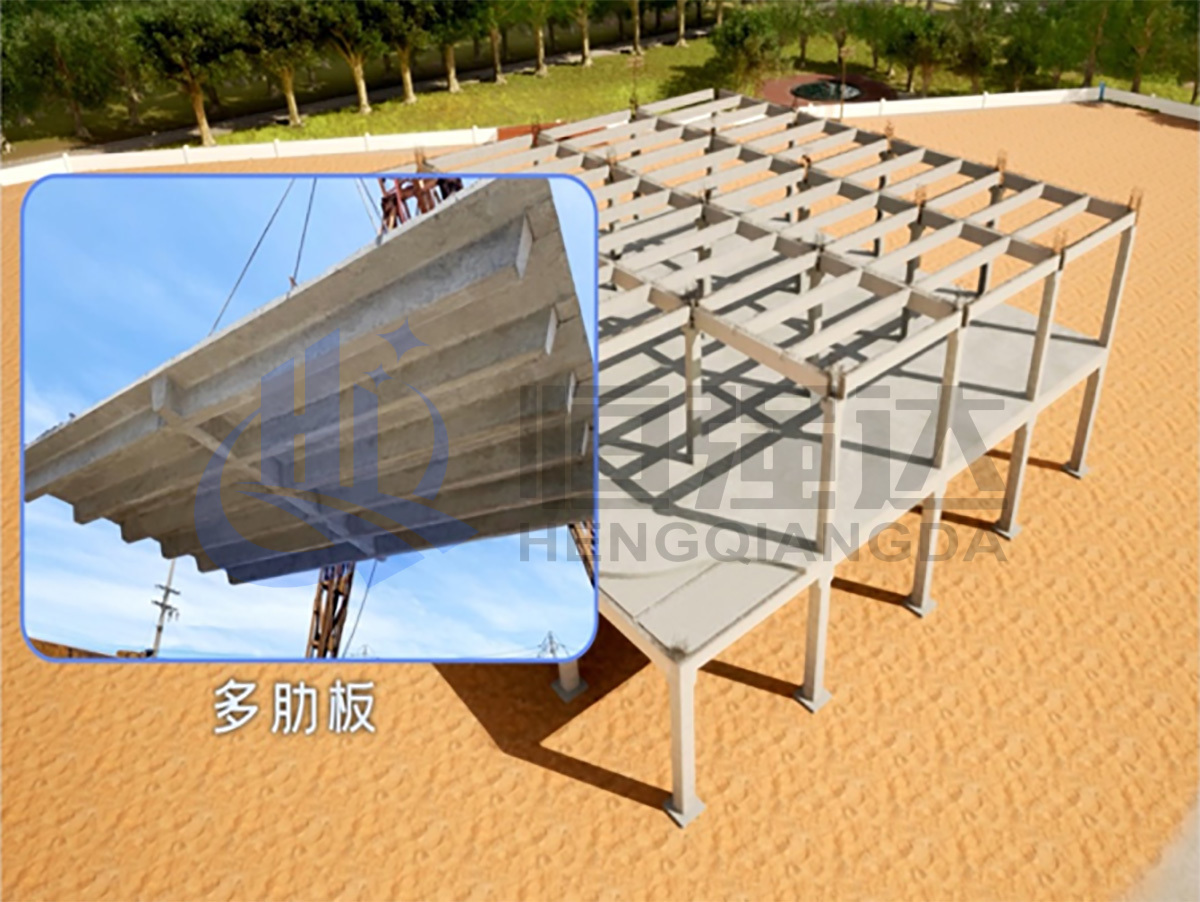 多(duō)肋闆
